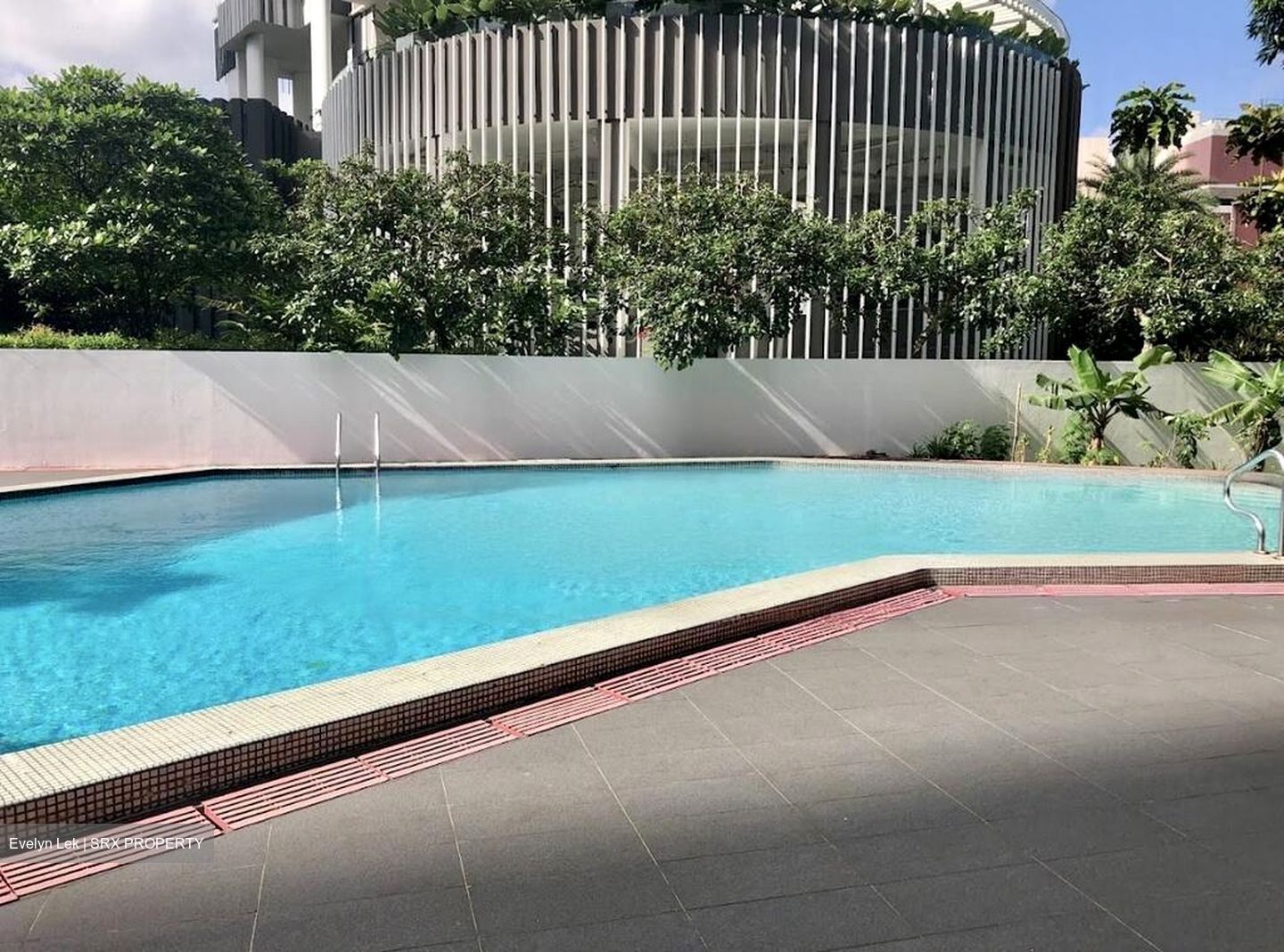 Tan Tong Meng Tower (D11), Apartment #459522811